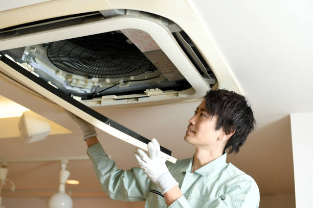 Best Local Air Duct Cleaning Services  in Belle Plaine, IA